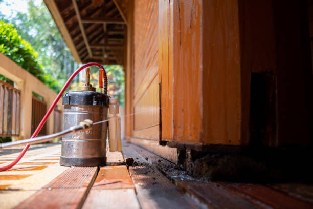 Best Termite Control Services  in Black Hammock, FL