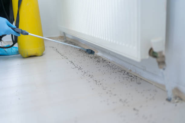 Wildlife Control Services in Black Hammock, FL